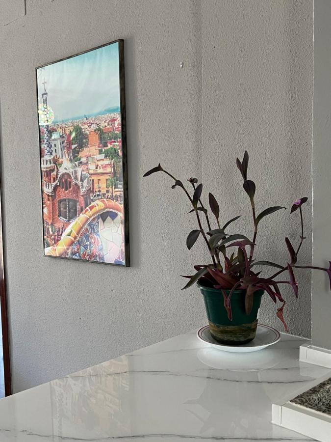 Huerto Apartment ルセナ エクステリア 写真